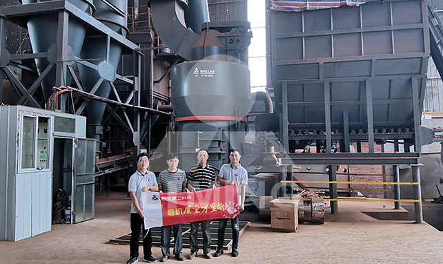 四川某页岩制粉项目